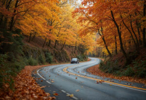Fall & Winter Car Care Tips for North Texas Drivers